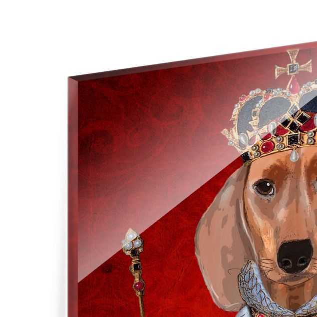 Magnettafel Glas Animal Portrait - Dachshund Queen
