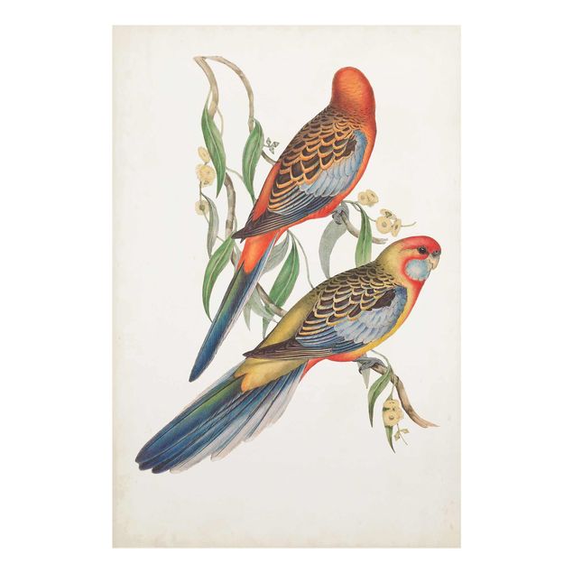 Prints Tropical Parrot II