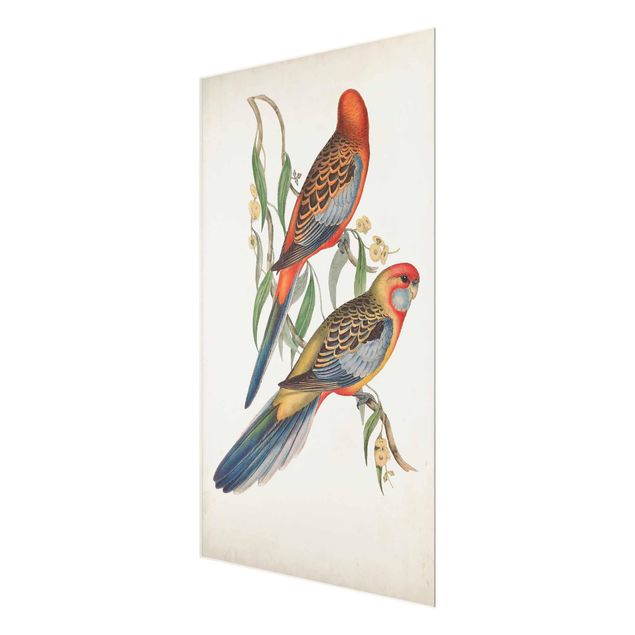 Glas Magnetboard Tropical Parrot II