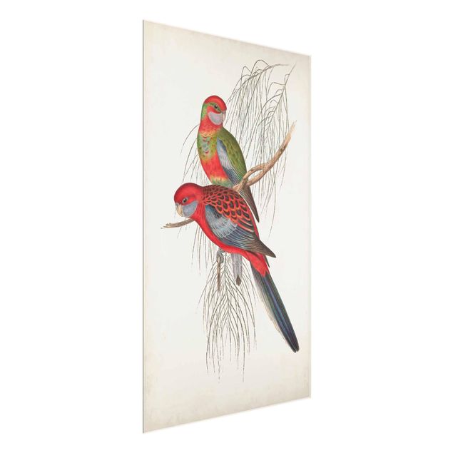 Floral prints Tropical Parrot III