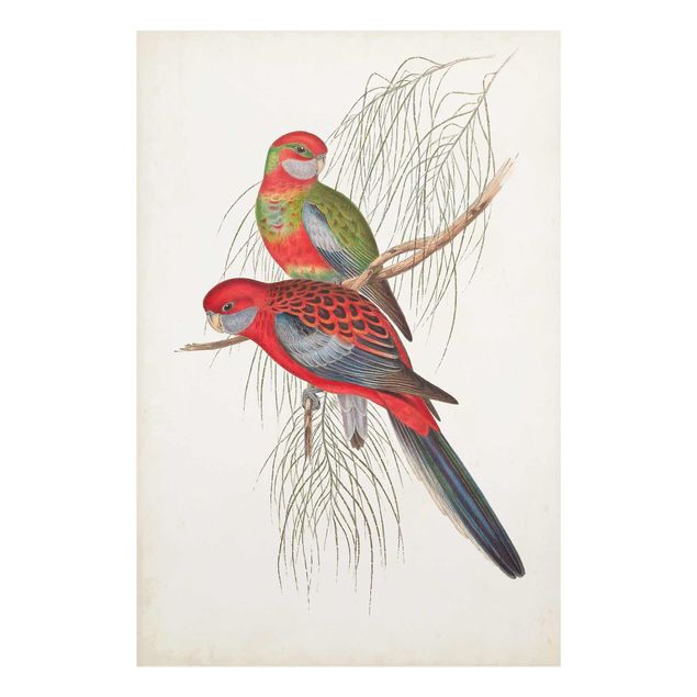 Prints Tropical Parrot III