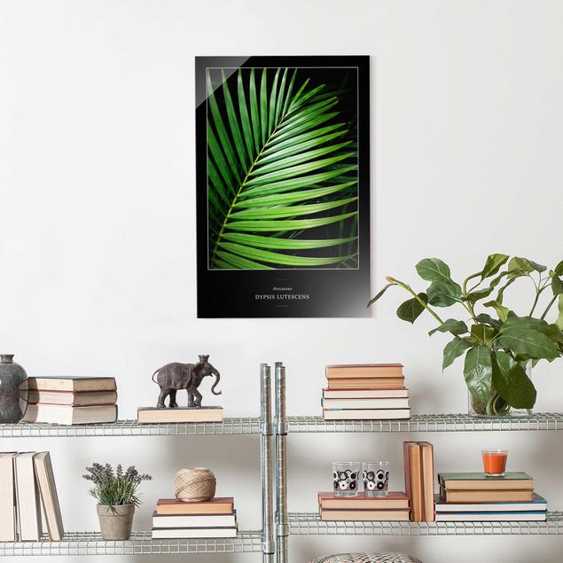Glass prints flower Tropical Palm Leaf