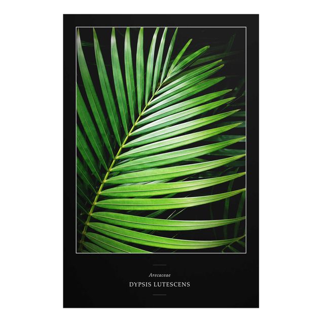 Green art prints Tropical Palm Leaf