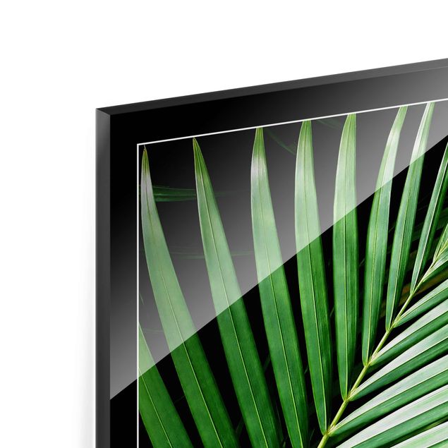 Glass print - Tropical Palm Leaf