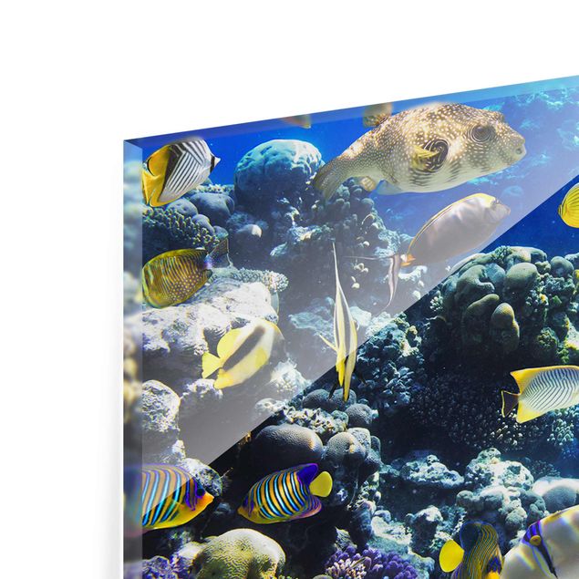 Navy wall art Underwater Reef