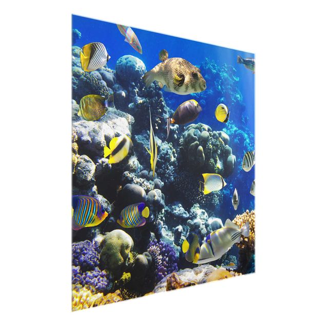 Sea prints Underwater Reef