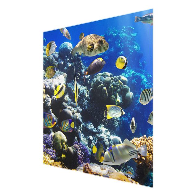 Glass prints beach Underwater Reef