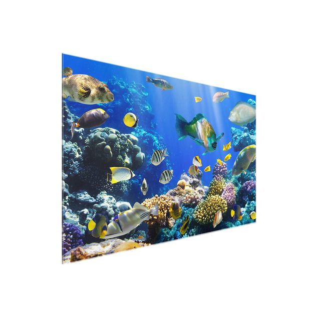 Sea prints Underwater Reef