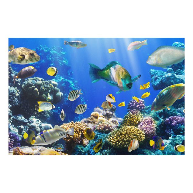 Glass prints landscape Underwater Reef