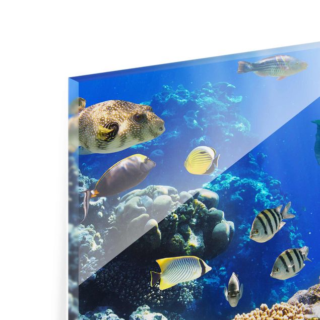 Navy wall art Underwater Reef