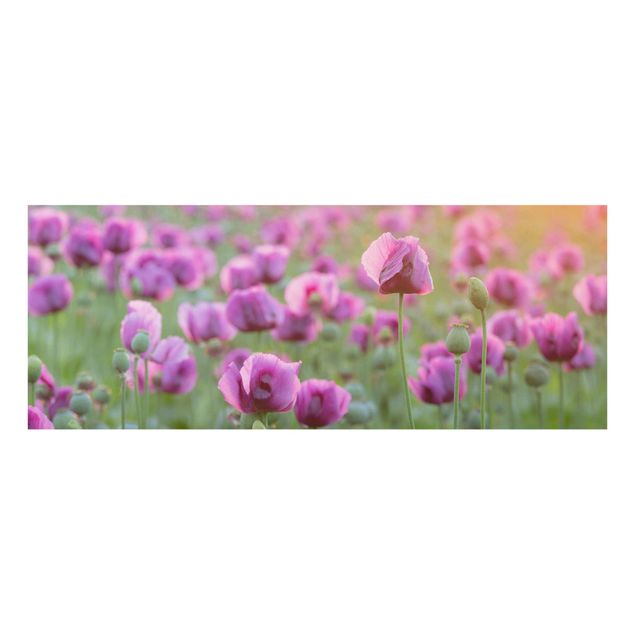 Floral canvas Purple Poppy Flower Meadow In Spring