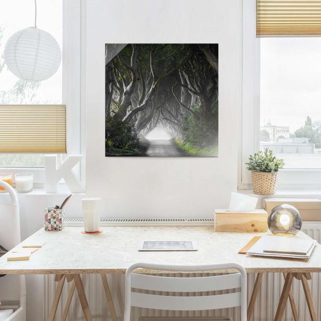 Landscape canvas prints Forest In Northern Ireland