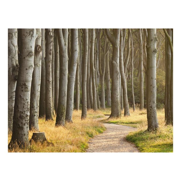 Modern art prints Forest Road In Northern Germany