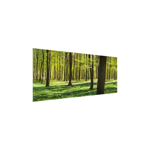 Glass prints landscape Forest Meadow