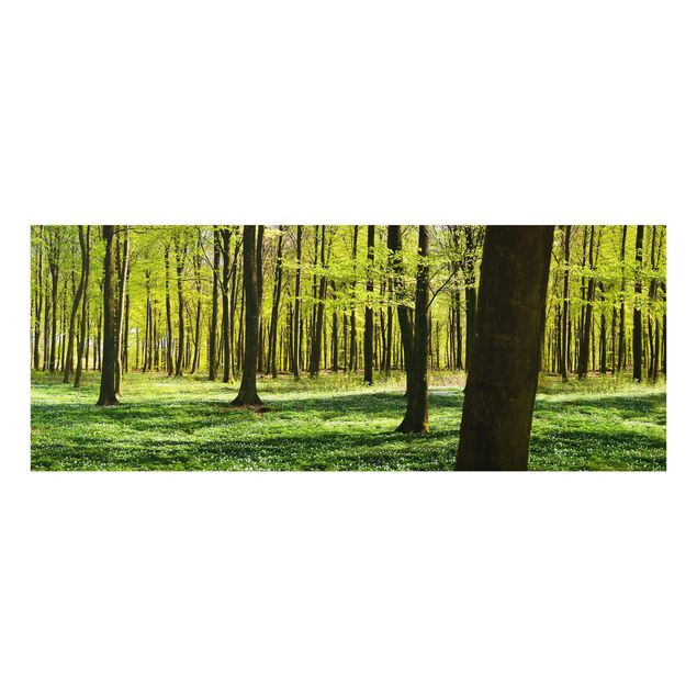 Contemporary art prints Forest Meadow