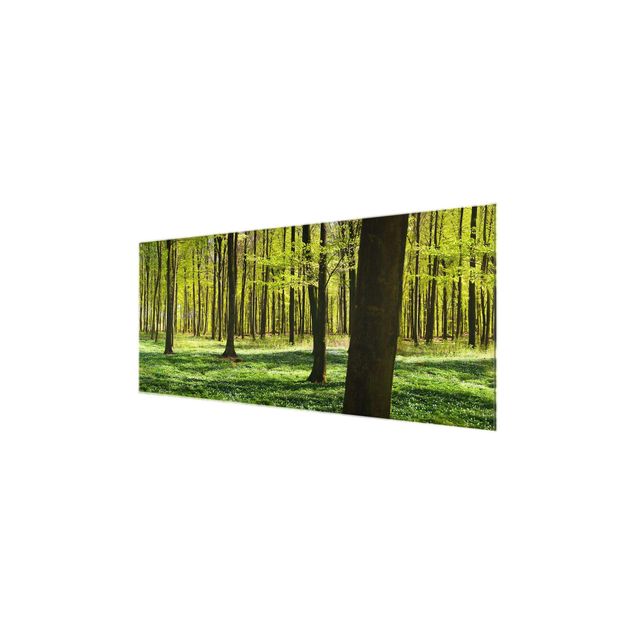 Prints nature Forest Meadow