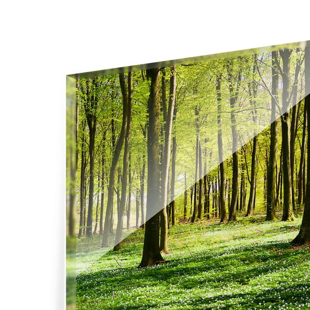 Prints Forest Meadow