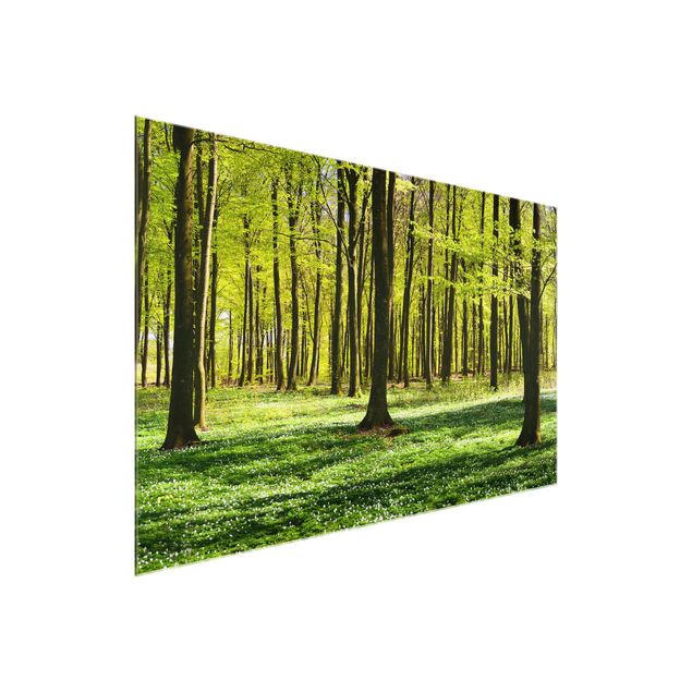 Glass prints landscape Forest Meadow