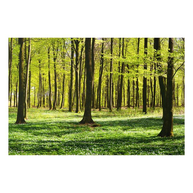 Contemporary art prints Forest Meadow