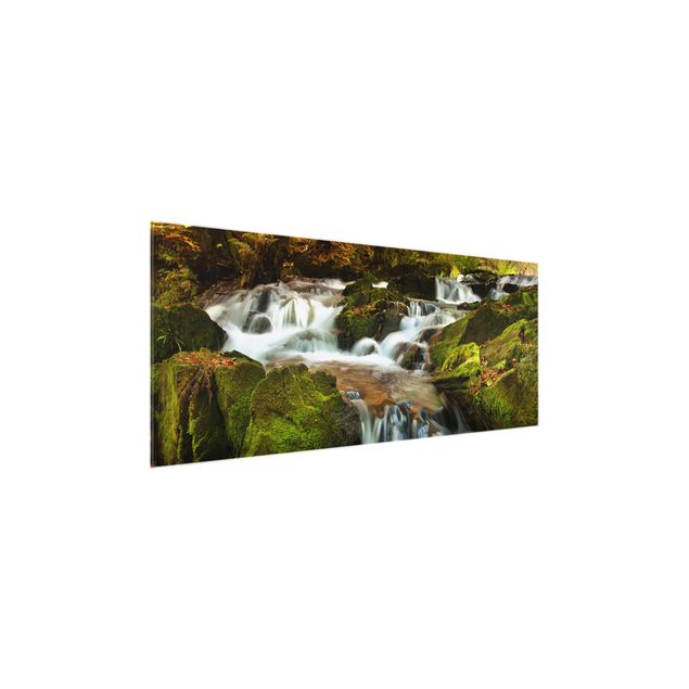 Trees on canvas Waterfall Autumnal Forest