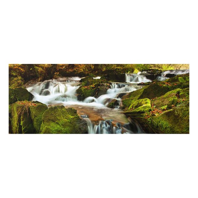 Glass prints landscape Waterfall Autumnal Forest