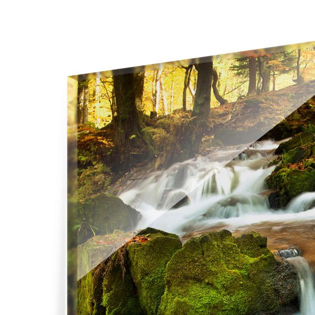 Prints green Waterfall Autumnal Forest