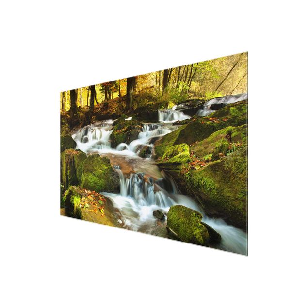 Modern art prints Waterfall Autumnal Forest