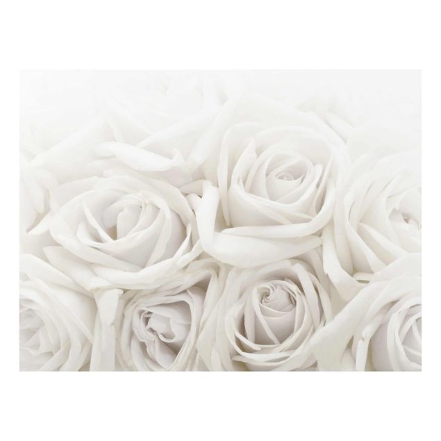Prints flower Wedding Roses