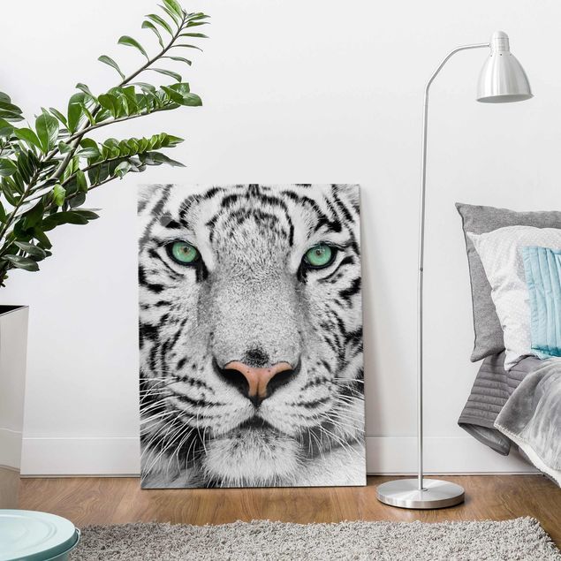 Tiger art print White Tiger