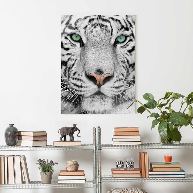 Glass prints black and white White Tiger