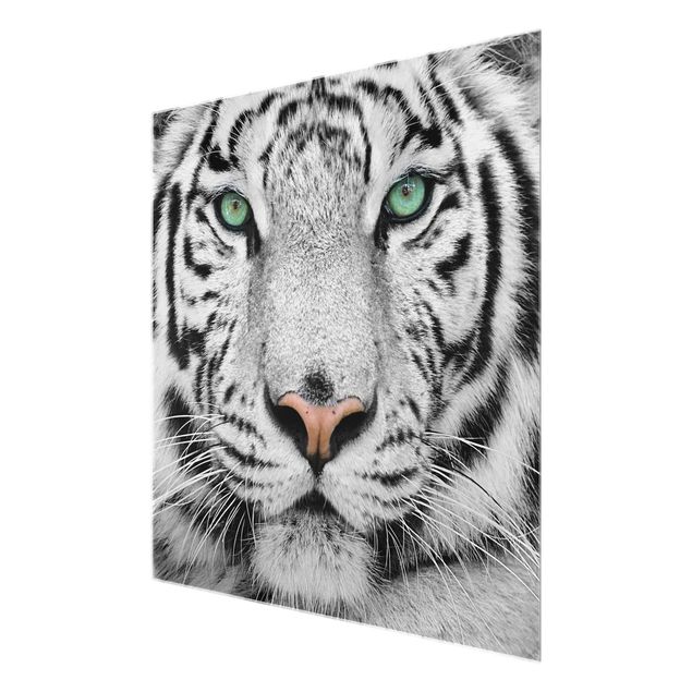 Black and white wall art White Tiger