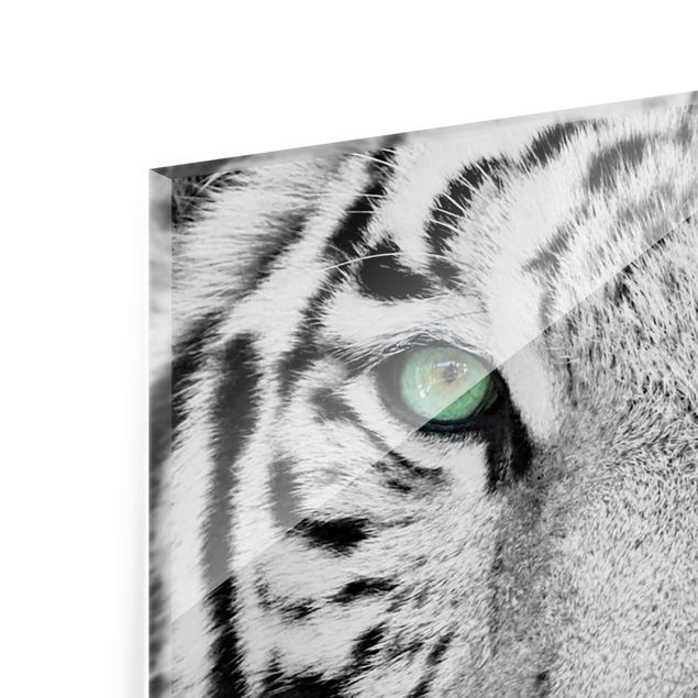 Glas Magnetboard White Tiger