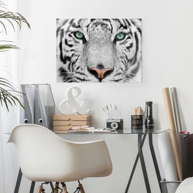 Glass prints black and white White Tiger