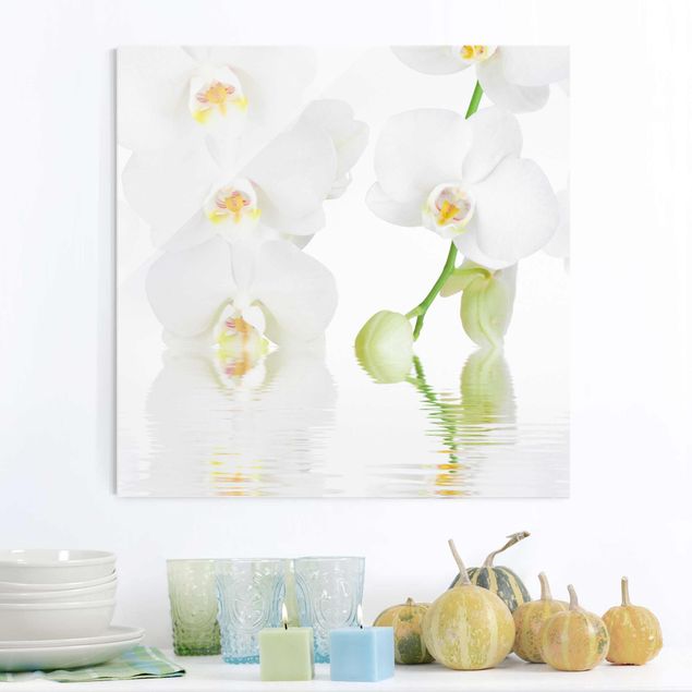 Glass prints orchid Spa Orchid - White Orchid