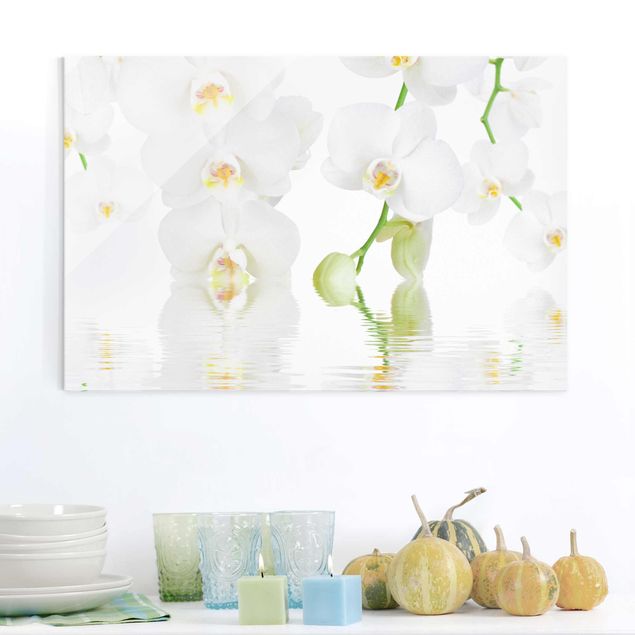 Glass prints orchid Spa Orchid - White Orchid