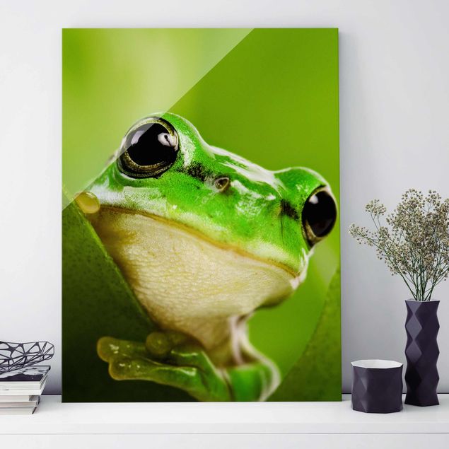 Kitchen Frog