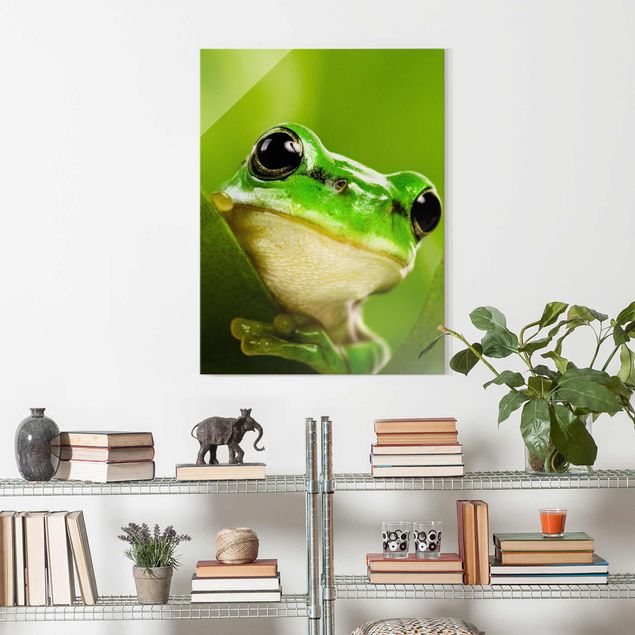 Glass prints pieces Frog