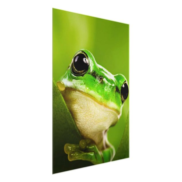 Prints modern Frog
