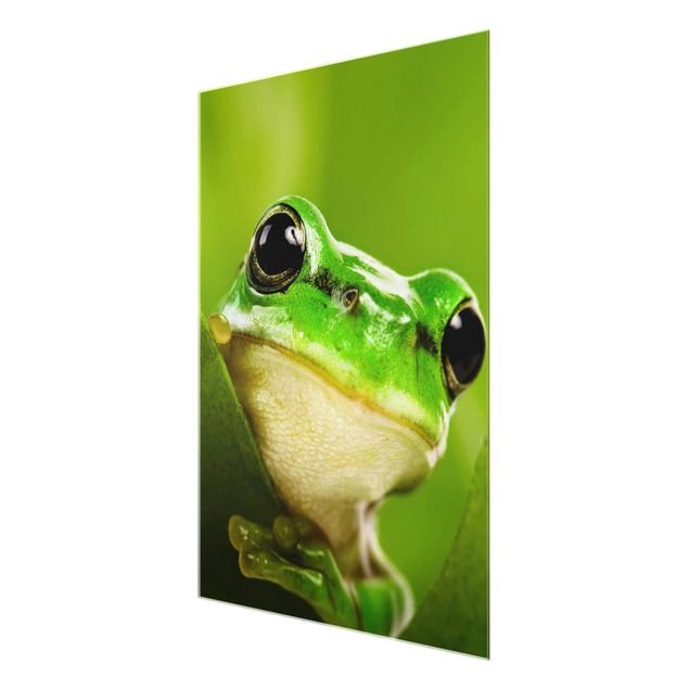 Glas Magnetboard Frog