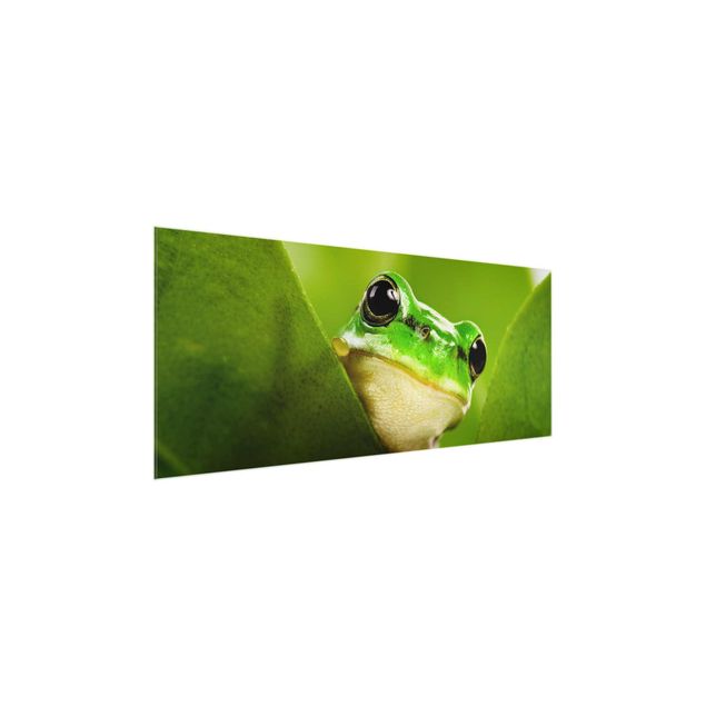 Prints modern Frog