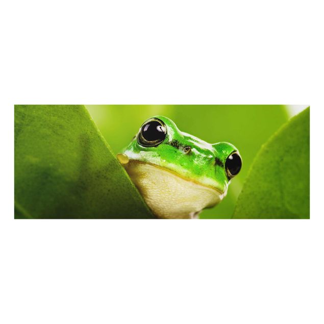 Prints Frog
