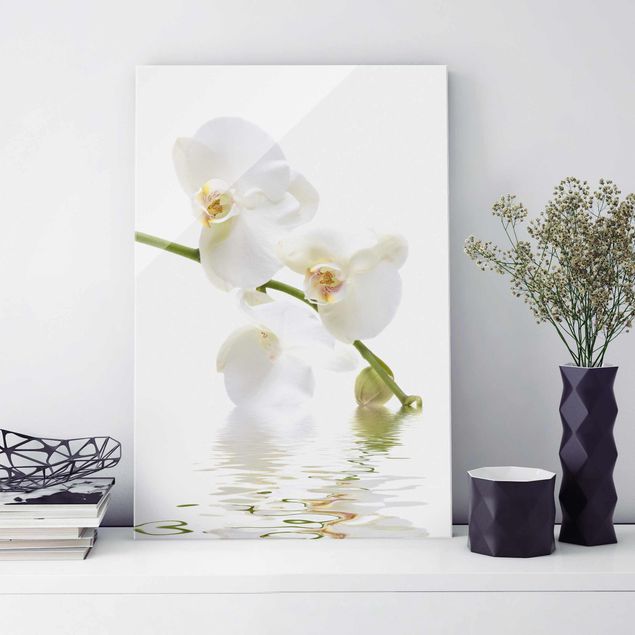 Glass prints orchid White Orchid Waters