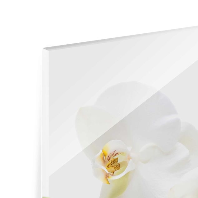 Glas Magnettafel White Orchid Waters