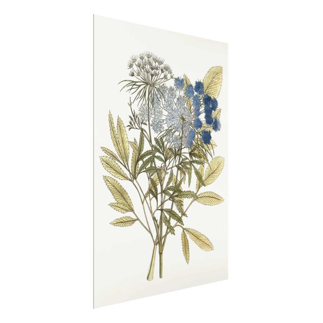 Floral canvas Wild Herbs Board I