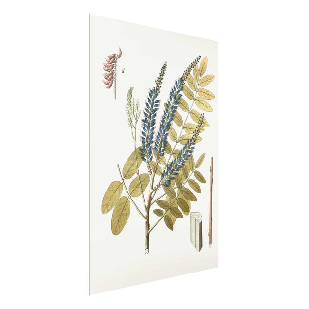 Prints floral Wild Herbs Board II