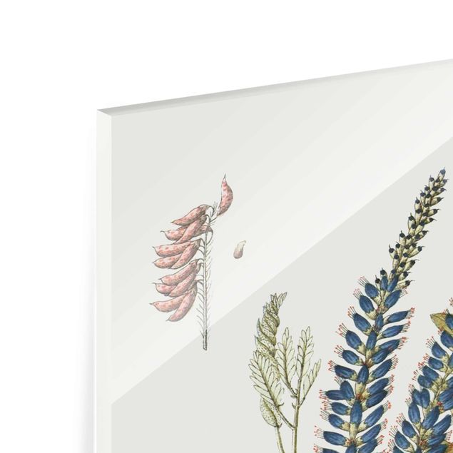 Glass print - Wild Herbs Board II