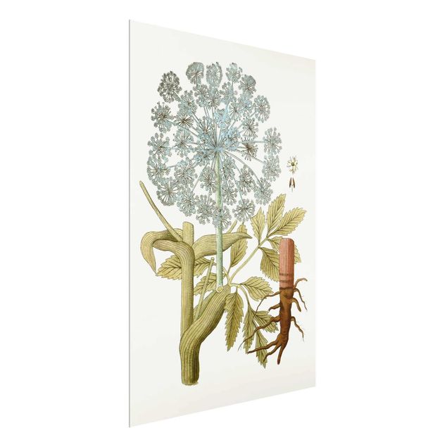 Flower print Wild Herbs Board III