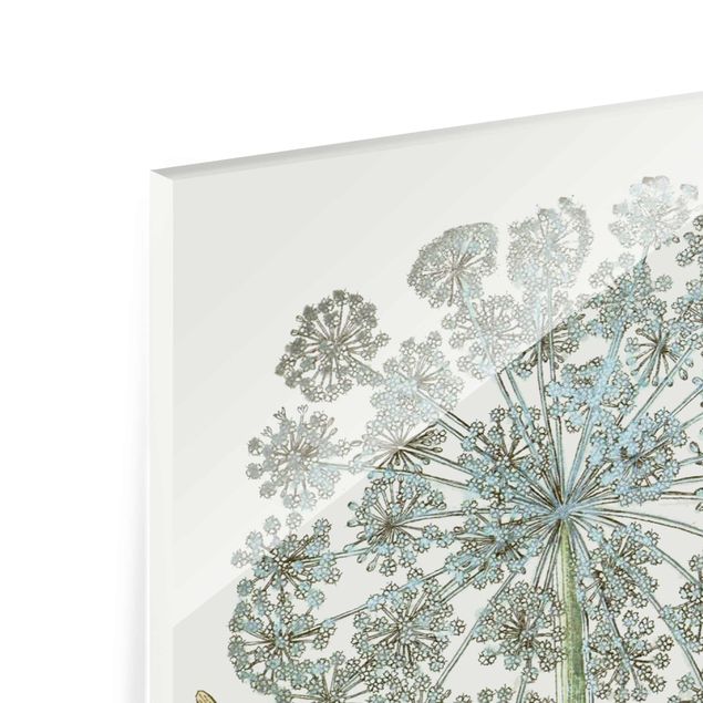 Glass print - Wild Herbs Board III