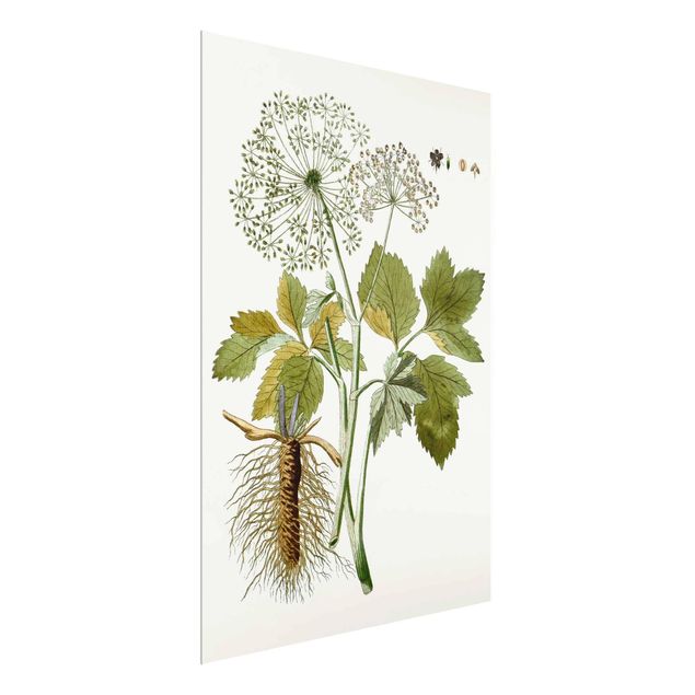Flower print Wild Herbs Board IV