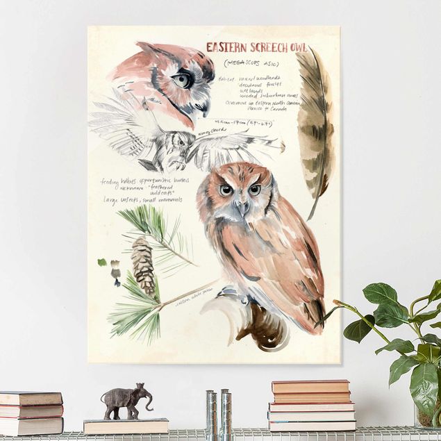 Glass prints flower Wilderness Journal - Owl